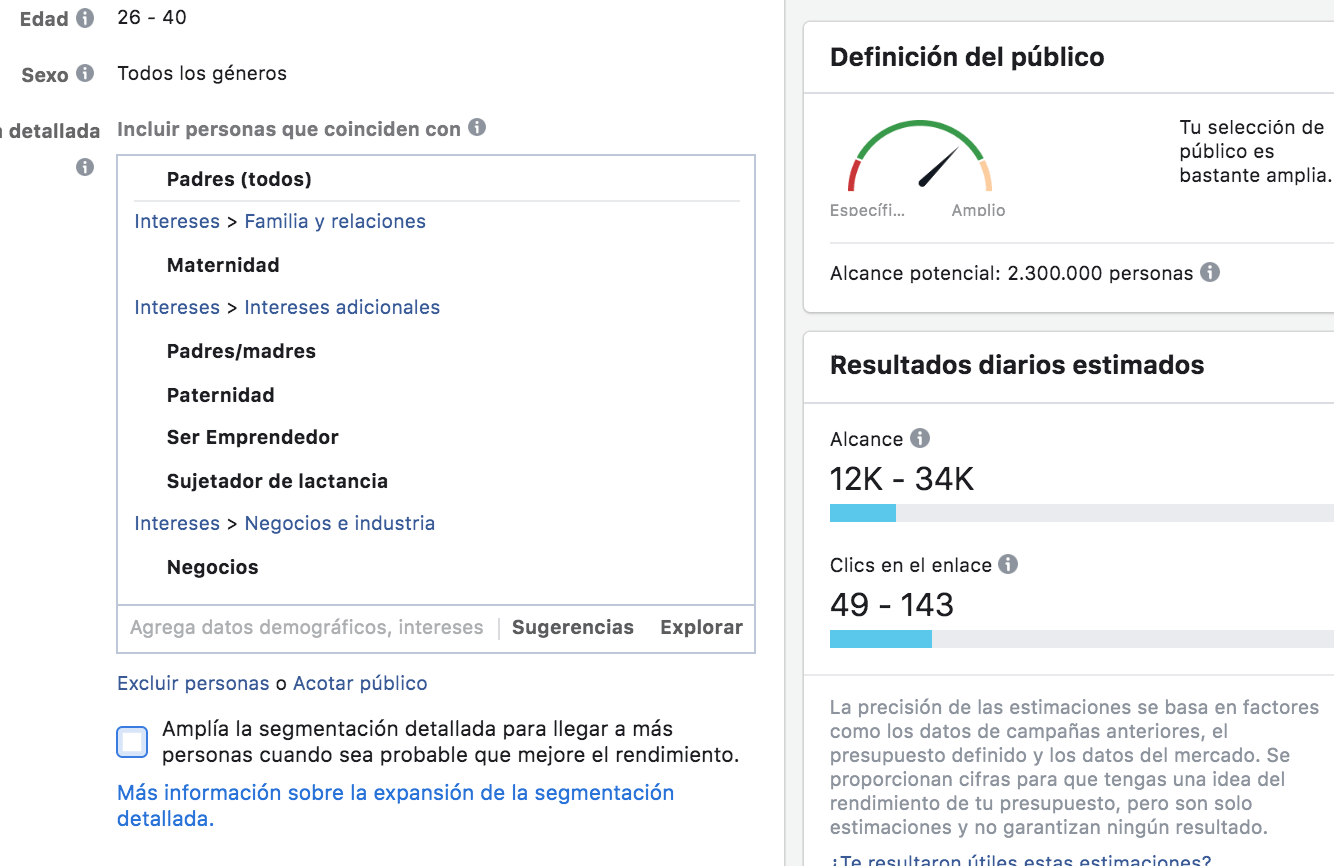 Facebook Ads público guardado