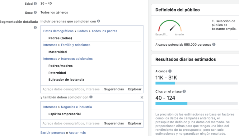 Facebook Ads público guardado